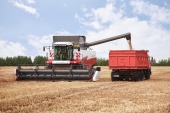 В Волгоградском регионе собрано более трех с половиной миллионов тонн зерна