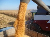 В Волгоградской области намолот уже перешагнул 3 млн тонн зерна!