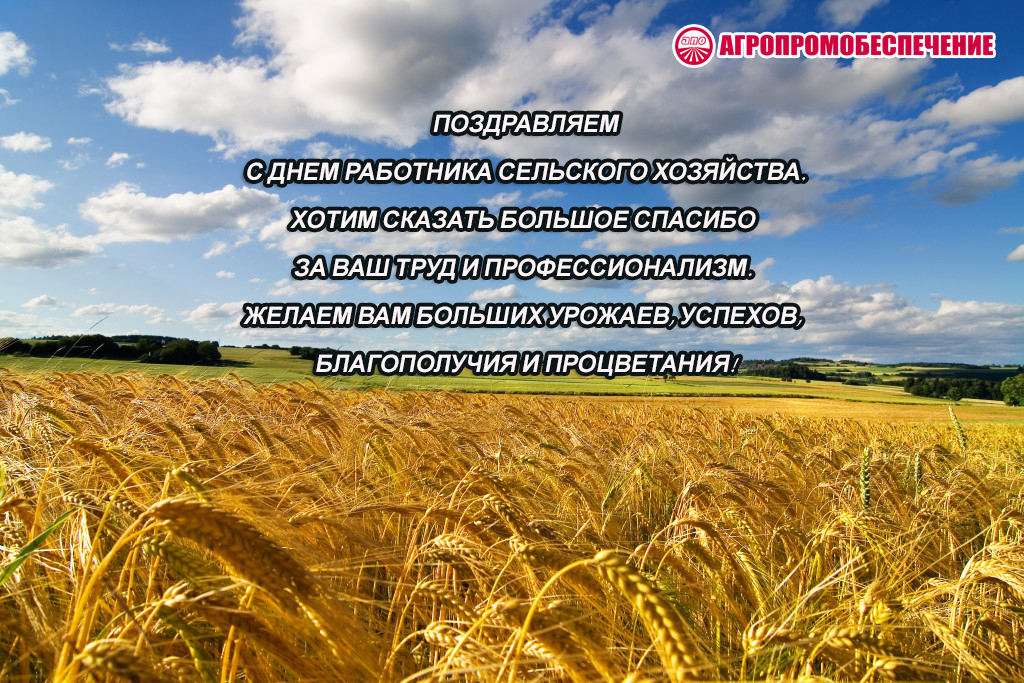 field-of-wheat-sky-summer.jpg
